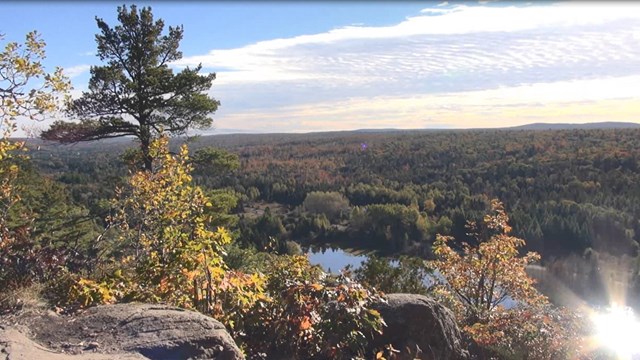 View over a dense green forest from atop a rocky cliff.